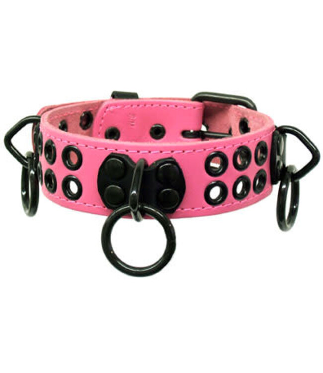 Bondage Collar With Rings And Rivets