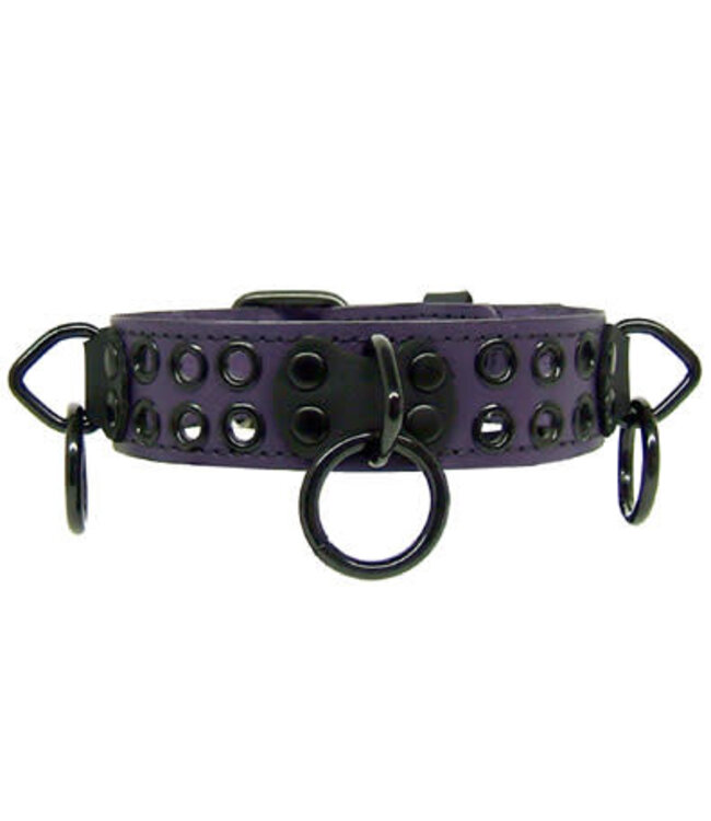 Bondage Collar With Rings And Rivets