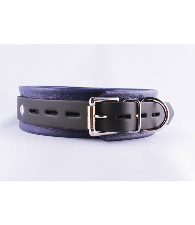 Prince Collar
