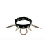 Extra Long Spike Choker with D-Ring