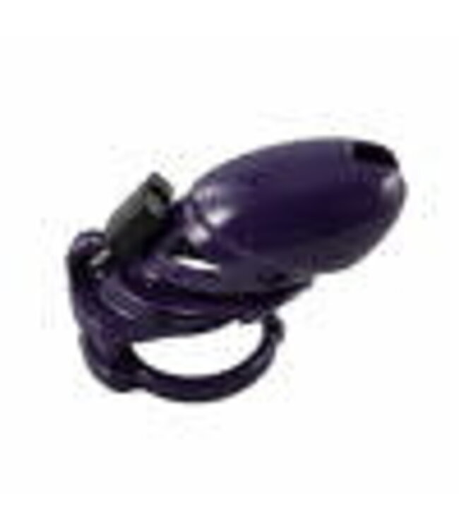 Locked In Lust Plus | Chastity Cage