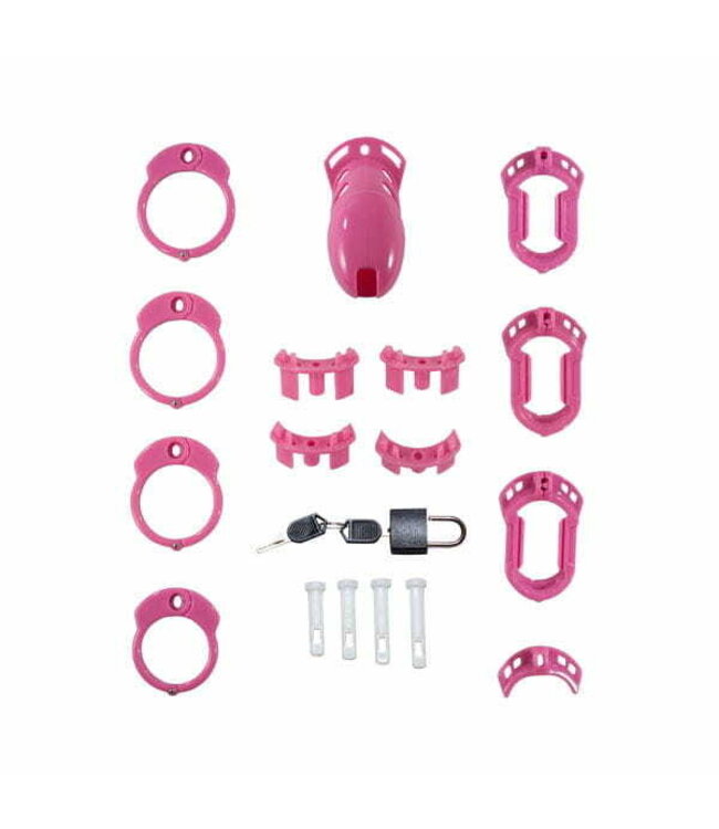 Locked In Lust Plus | Chastity Cage