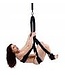 The Sex Swing