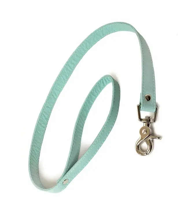 Zoë Ligon 2' Leash Mint Green