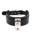 Fashionista Vegan choker with Lock