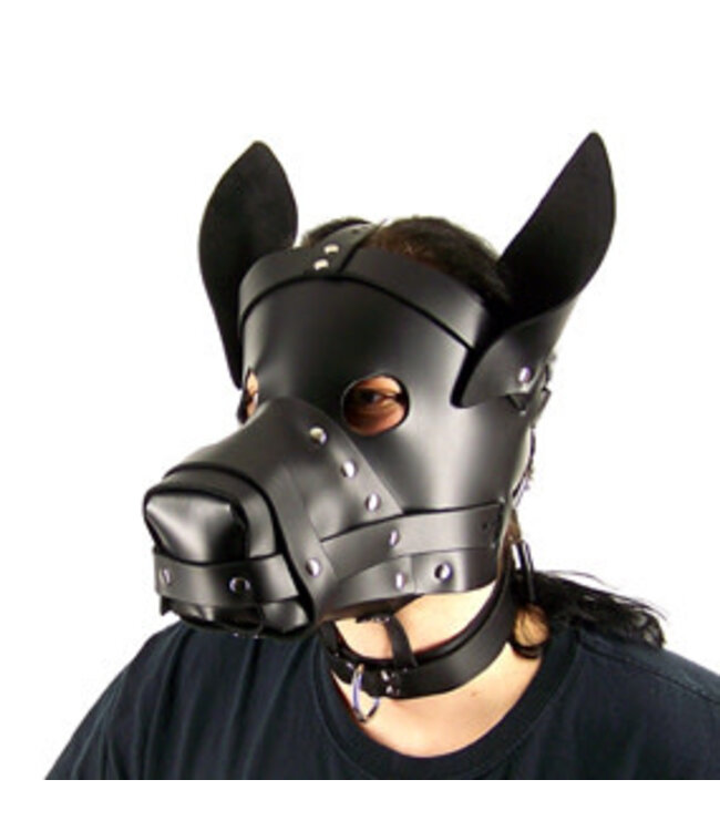 The Big Dog Hood