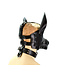The Big Dog Hood