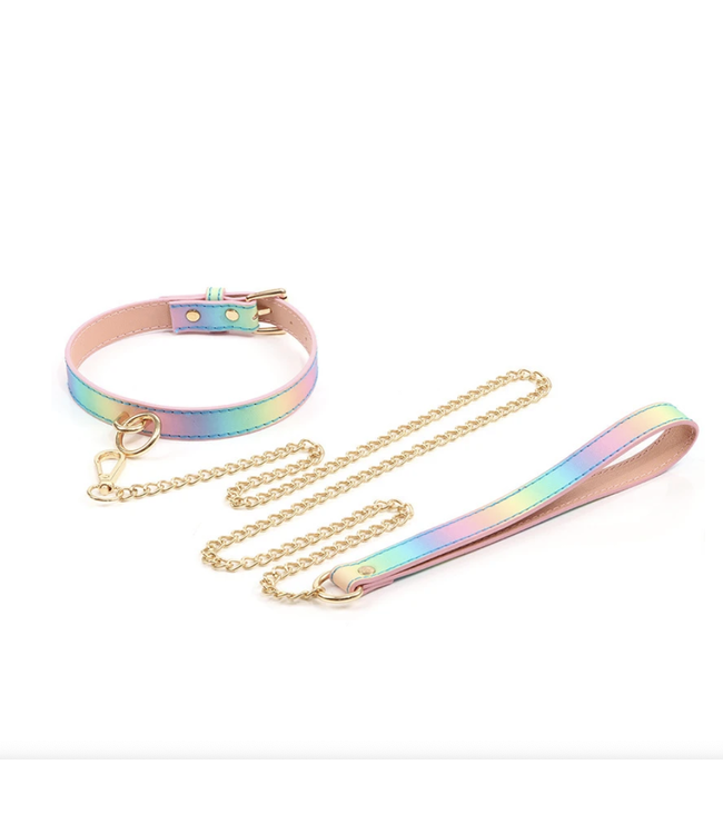 Love is love Collar and leash