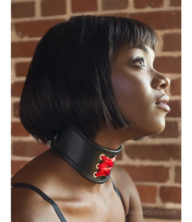 Red Laced Leather Posture Collar