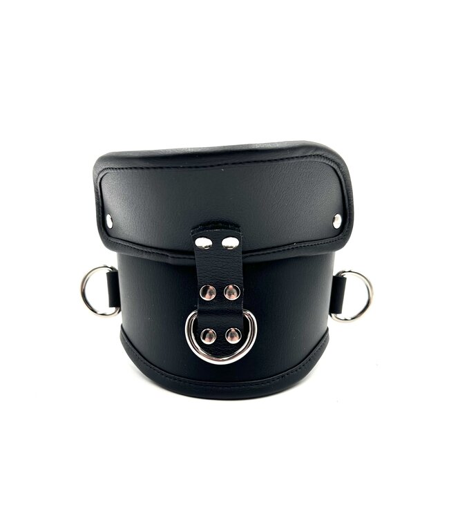 Deluxe Padded Leather Posture Collar w/ D Rings