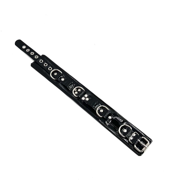 Leather Lined D Rings Collar