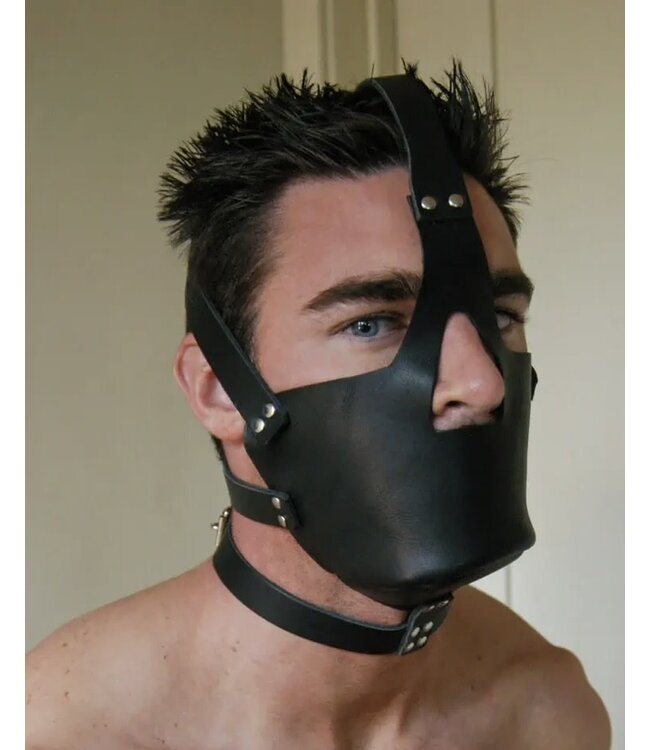 Leather Head Harness with Muzzle