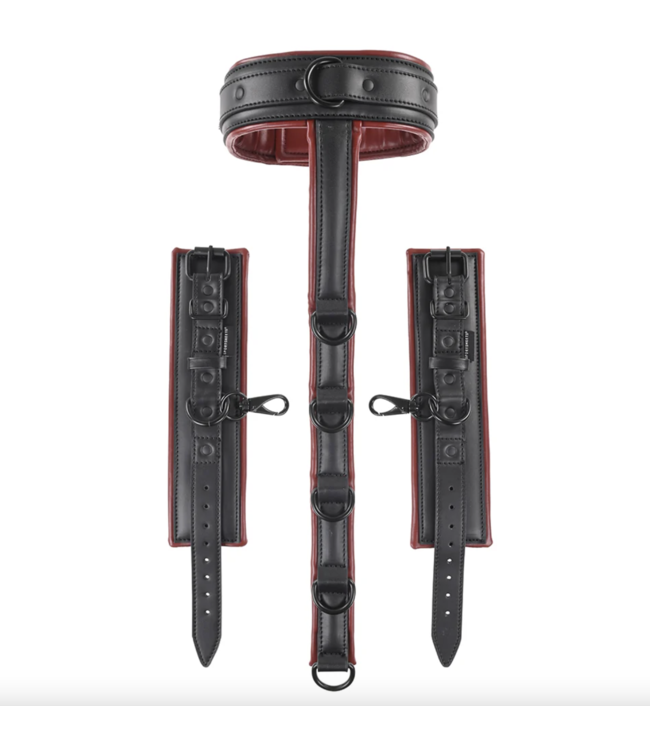 Adjustable Neck & Wrist Restraints