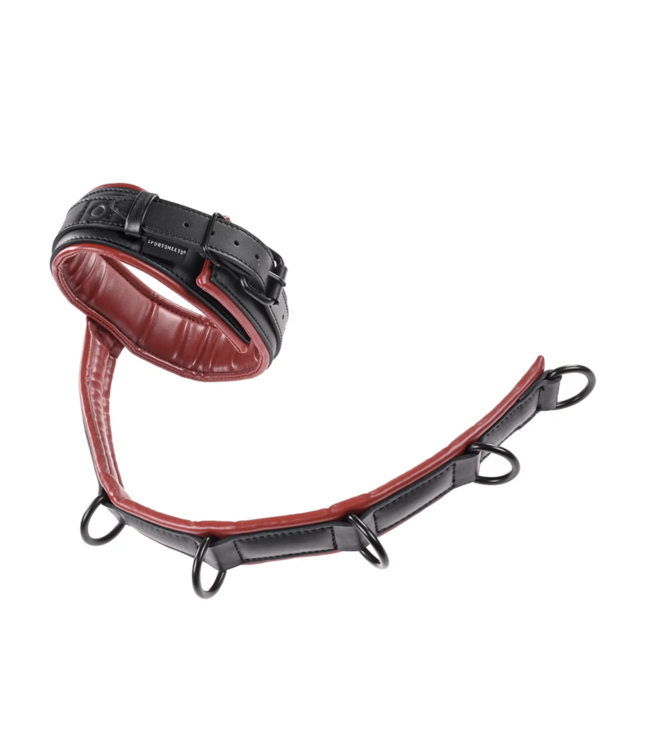 Adjustable Neck & Wrist Restraints
