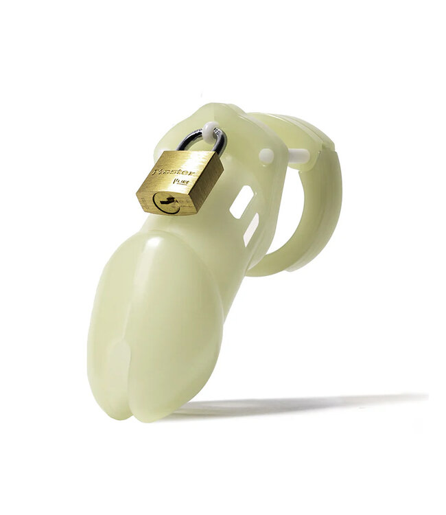 CB 6000 | Chastity Cage