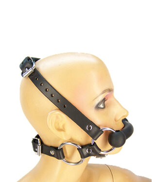 Axovus LLC Pony Bridle Harness With Reins