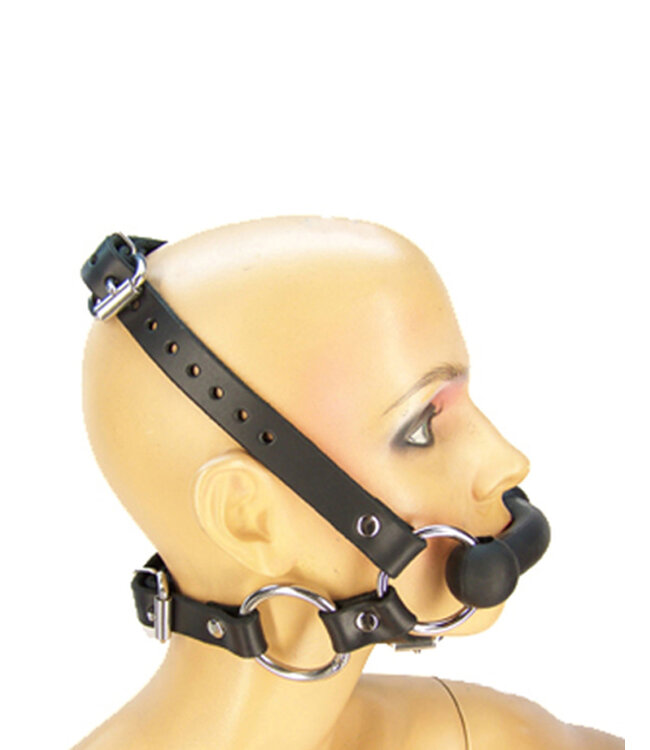 Pony Bridle Harness With Reins