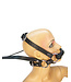 Pony Bridle Harness With Reins