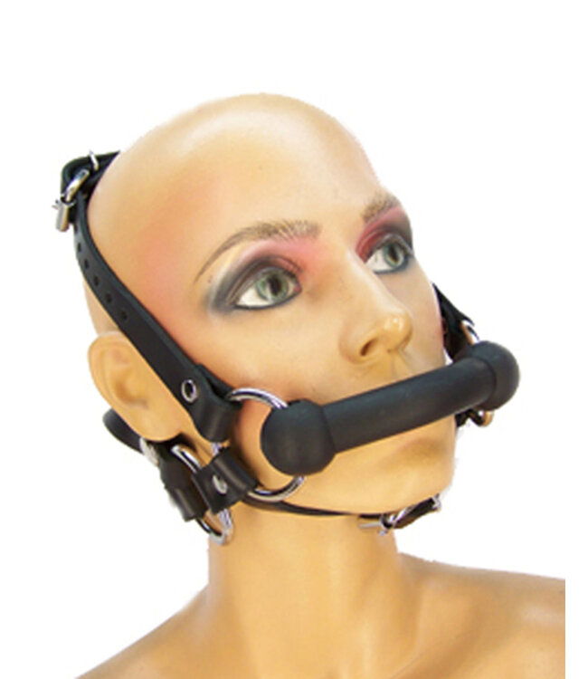 Pony Bridle Harness With Reins