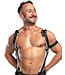 Mr. S Leather Hardline Hunter | Leather Chest Harness