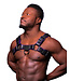 Hardline Leather Bulldog Chest Harness