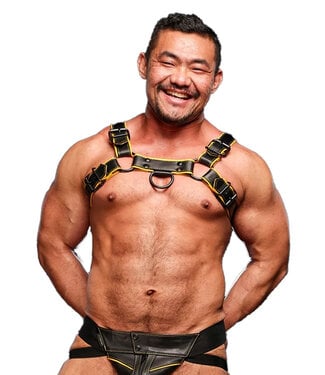 Mr. S Leather Hardline Leather Bulldog Chest Harness