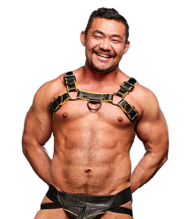 Hardline Leather Bulldog Chest Harness