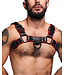 Hardline Leather Bulldog Chest Harness