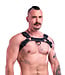 Hardline Leather Bulldog Chest Harness