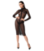 Ecstasy Midi Sheer  Dress