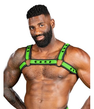 Mr. S Leather Neo Bold Color Bulldog Harness