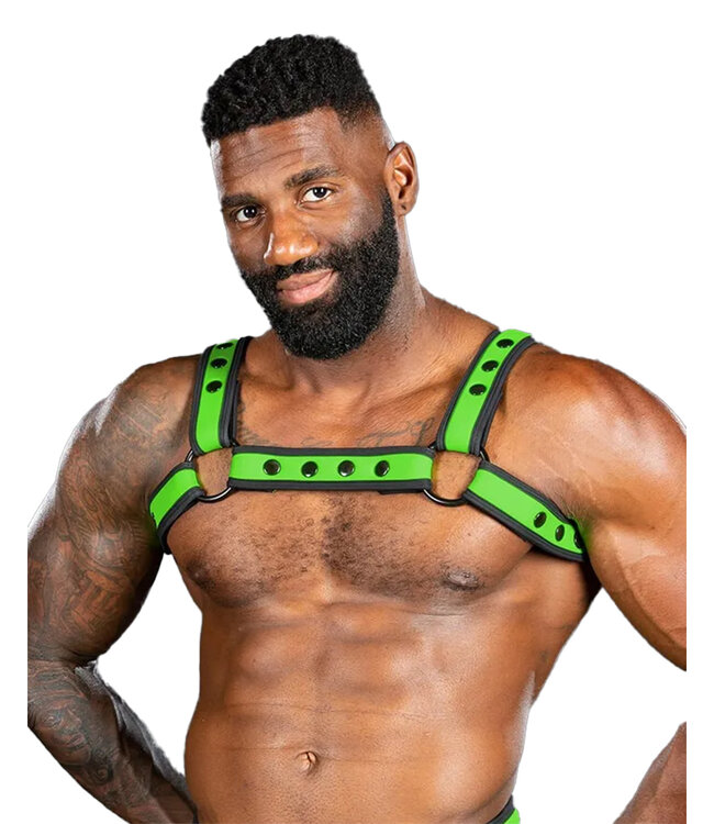 Neo Bold Color Bulldog Harness Mr. S Leather
