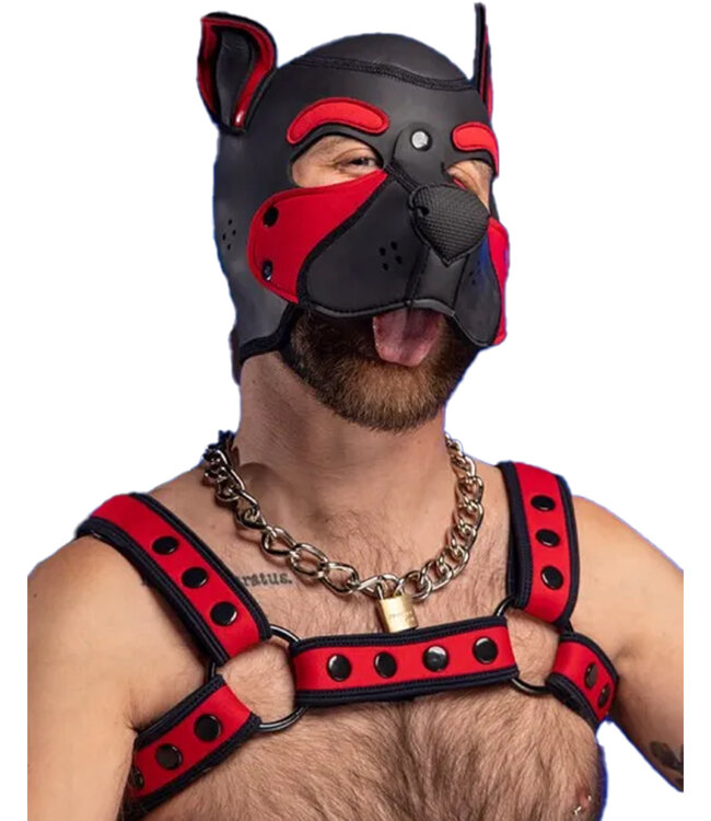 Neo Bold Color Bulldog Harness Mr. S Leather