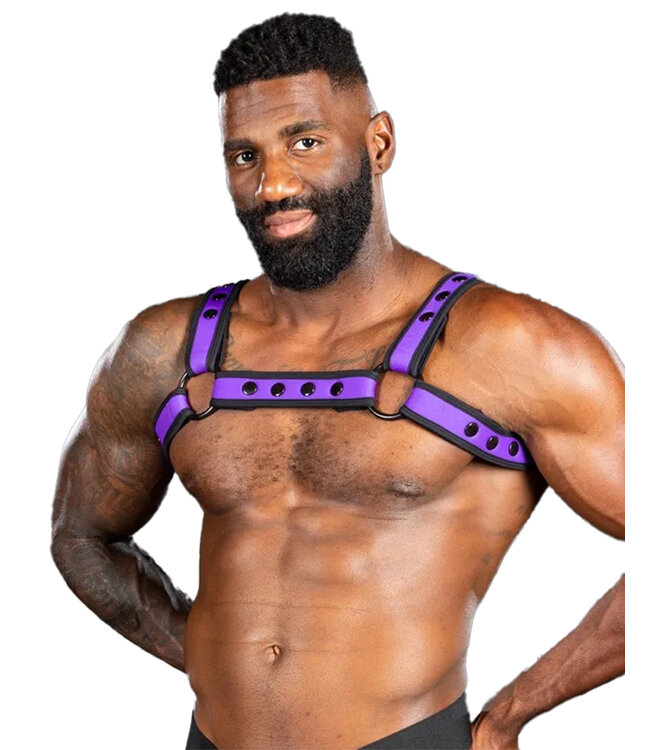 Neo Bold Color Bulldog Harness Mr. S Leather