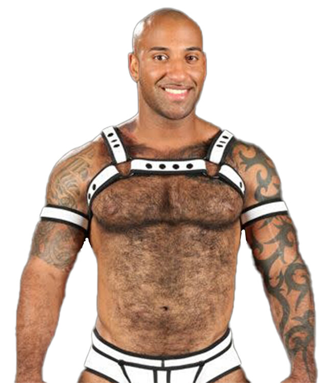 Neo Bold Color Bulldog Harness Mr. S Leather