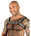 Neo Bold Color Bulldog Harness Mr. S Leather