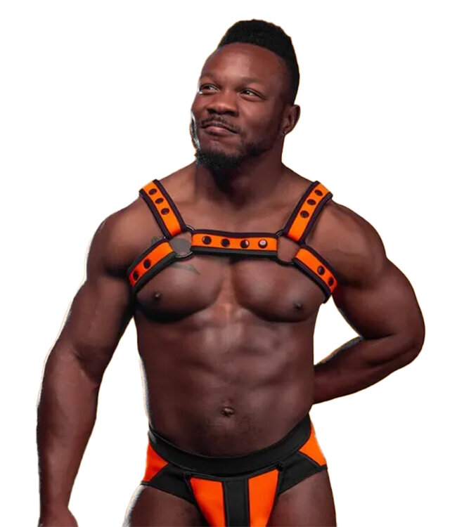 Neo Bold Color Bulldog Harness Mr. S Leather