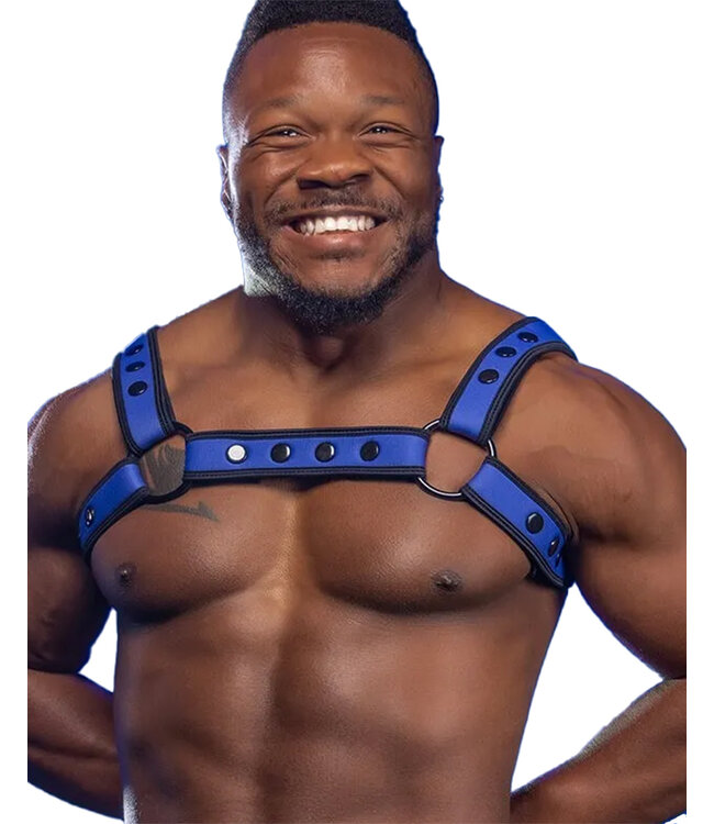 Neo Bold Color Bulldog Harness Mr. S Leather