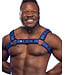 Neo Bold Color Bulldog Harness Mr. S Leather