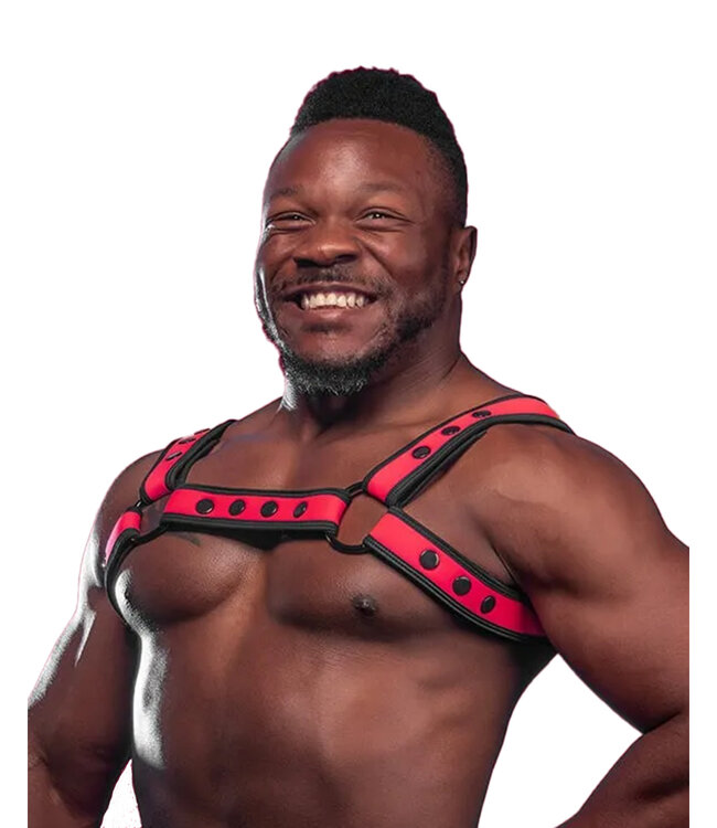 Neo Bold Color Bulldog Harness Mr. S Leather