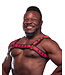 Neo Bold Color Bulldog Harness Mr. S Leather