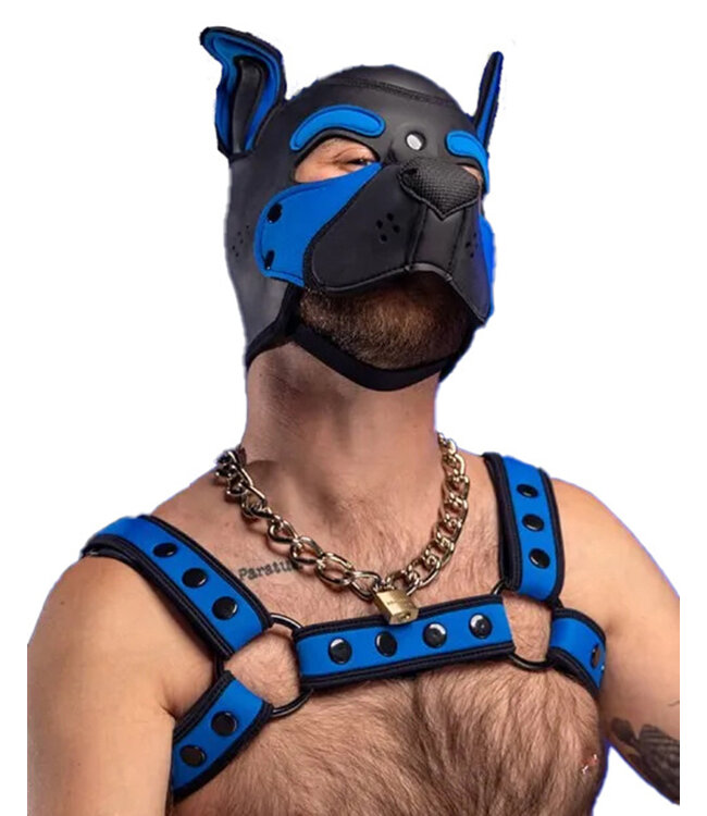 Neo Bold Color Bulldog Harness Mr. S Leather