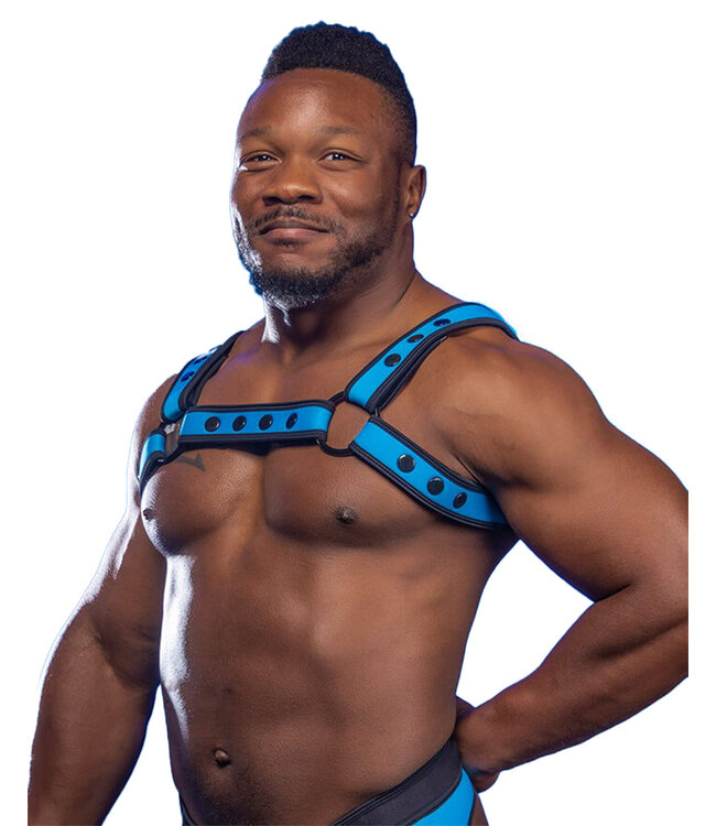 Neo Bold Color Bulldog Harness Mr. S Leather