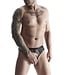 Peek a boo men's  mesh thong