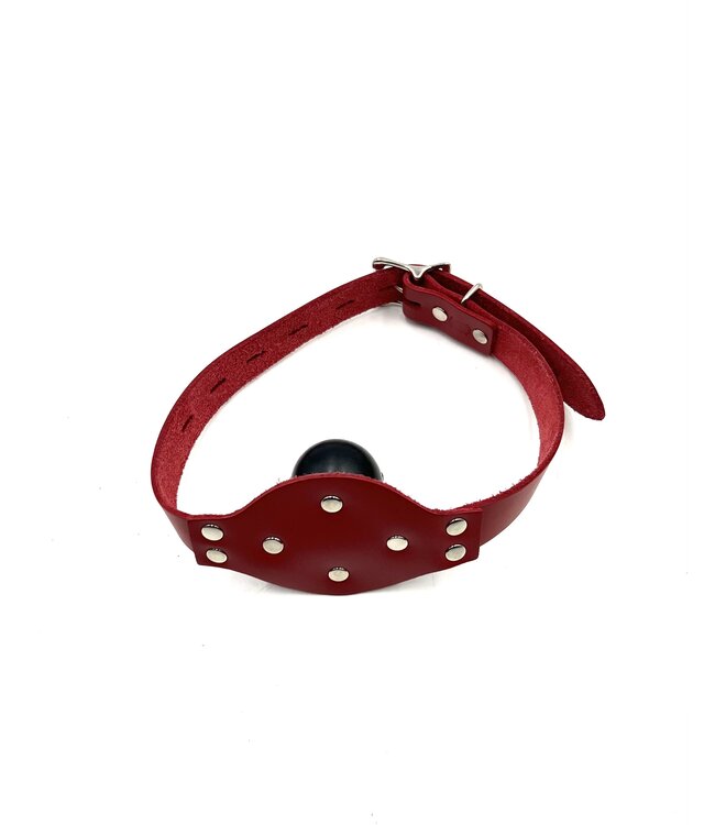 Solid Rubber Ball Gag with Lockable Straps