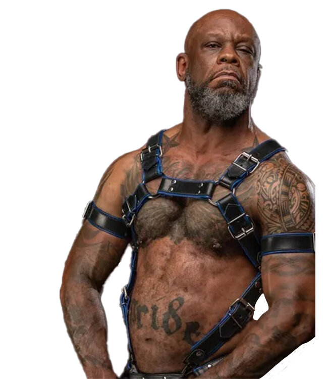 Trojan | Leather Full Body Harness