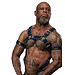 Trojan | Leather Full Body Harness