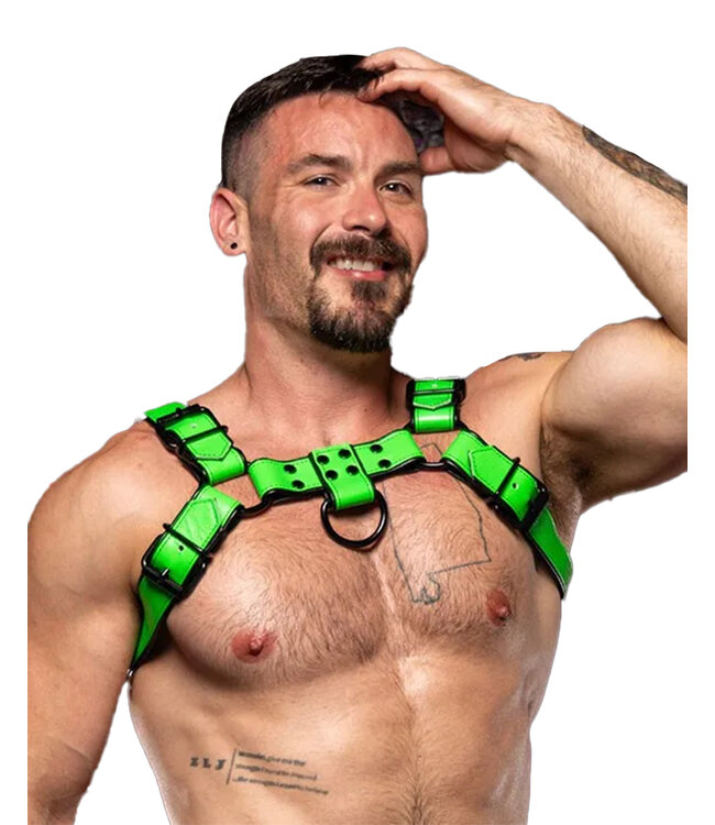 Dark Room | Leather Chest Harness