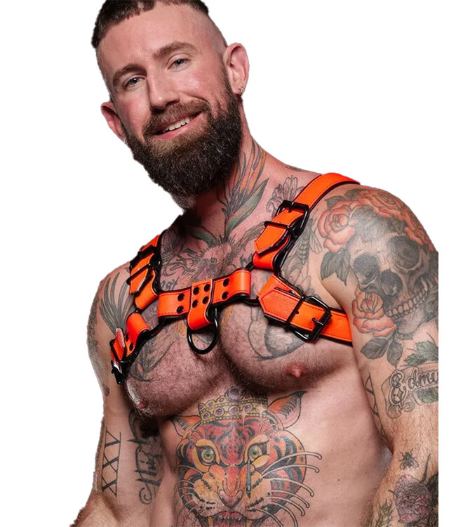 Dark Room | Leather Chest Harness