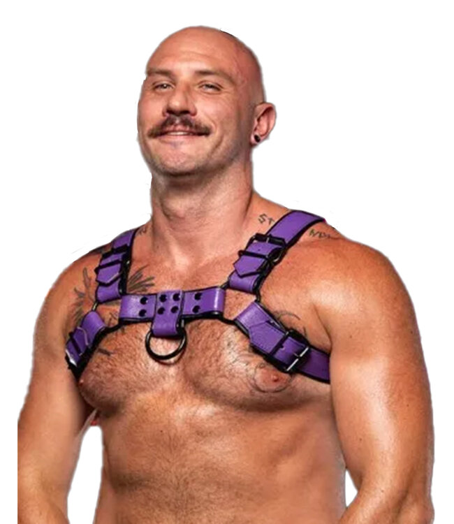 Dark Room | Leather Chest Harness